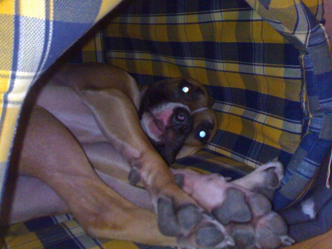 13032008254.jpg
